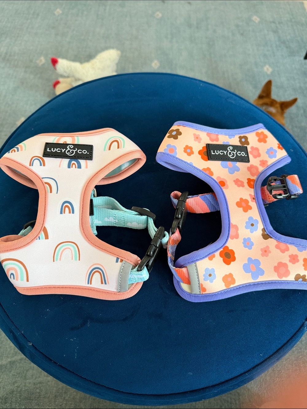 Lucy & Co. Reversible Dog Harnesses